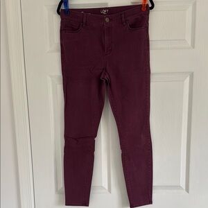 LOFT Women's Burgundy Pants